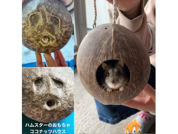 ファイル 341-1.jpg